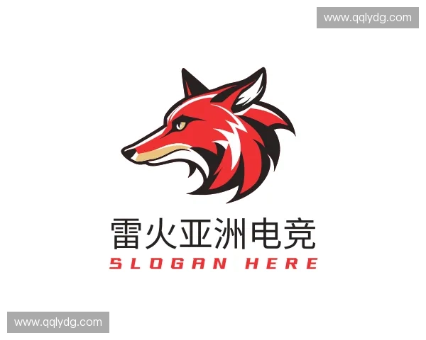 认识雷火电竞体育